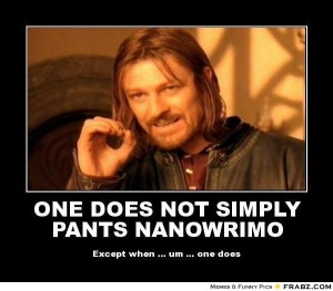 Pantsing NaNoWriMo