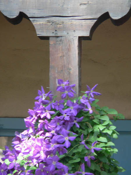 Flowers and Wood