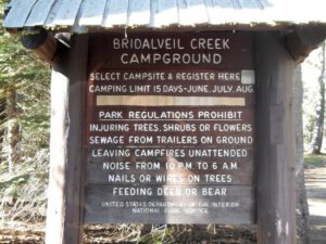 Bridalveil Creek Campground