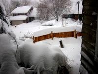 That's a six foot fence out there.