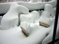 Artistic sculpture on the back porch.