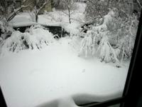 Yard full o' snow.