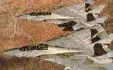 Tomcat