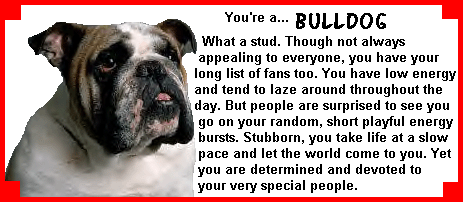 Bulldog