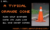 I am an Orange Cone