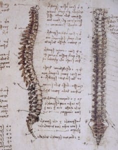 Spine, by da Vinci.