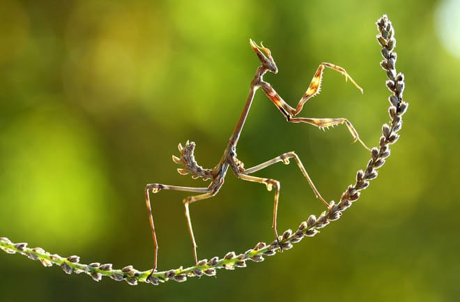 Some spectacular photos for the NatGeo 2014 contest