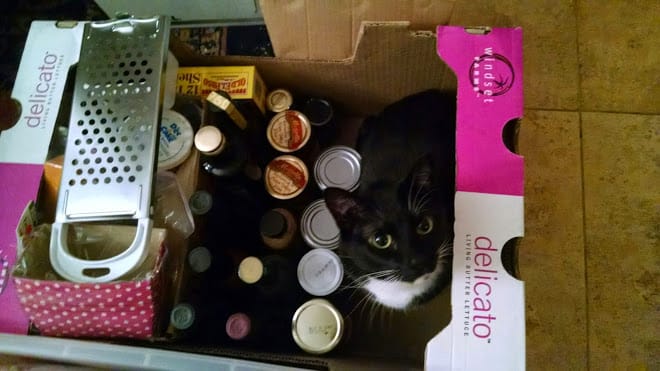 Kitchen Project – Day 88: Is Moving Usually This Hard?