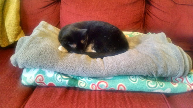 Well, as long as these blankets are neatly folded here for me