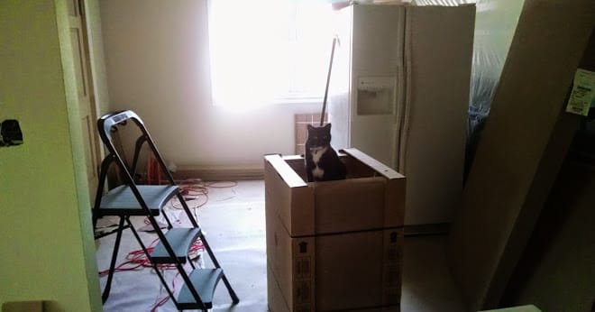Last Box Standing