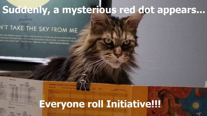 When the Cat runs the game