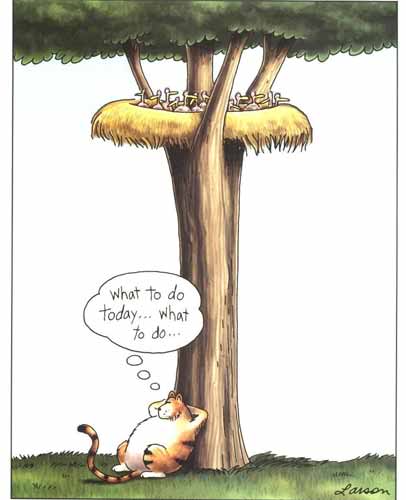 Back to the “Daily Grind”