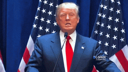 Tweetizen Trump – 2016-01-12 "FAKES!"