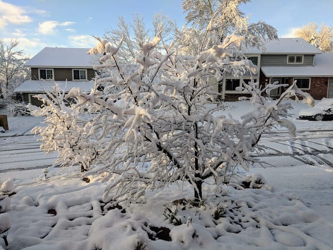 End-of-Winter Wonderland