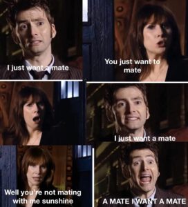 Doctor Who Ten Donna mate