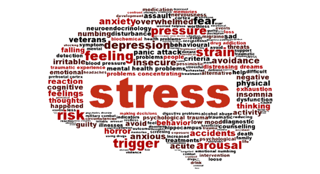 Stress Brain word cloud